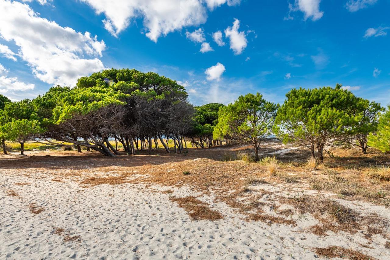 Affittasardegna-Case Pompia Siniscola Bagian luar foto