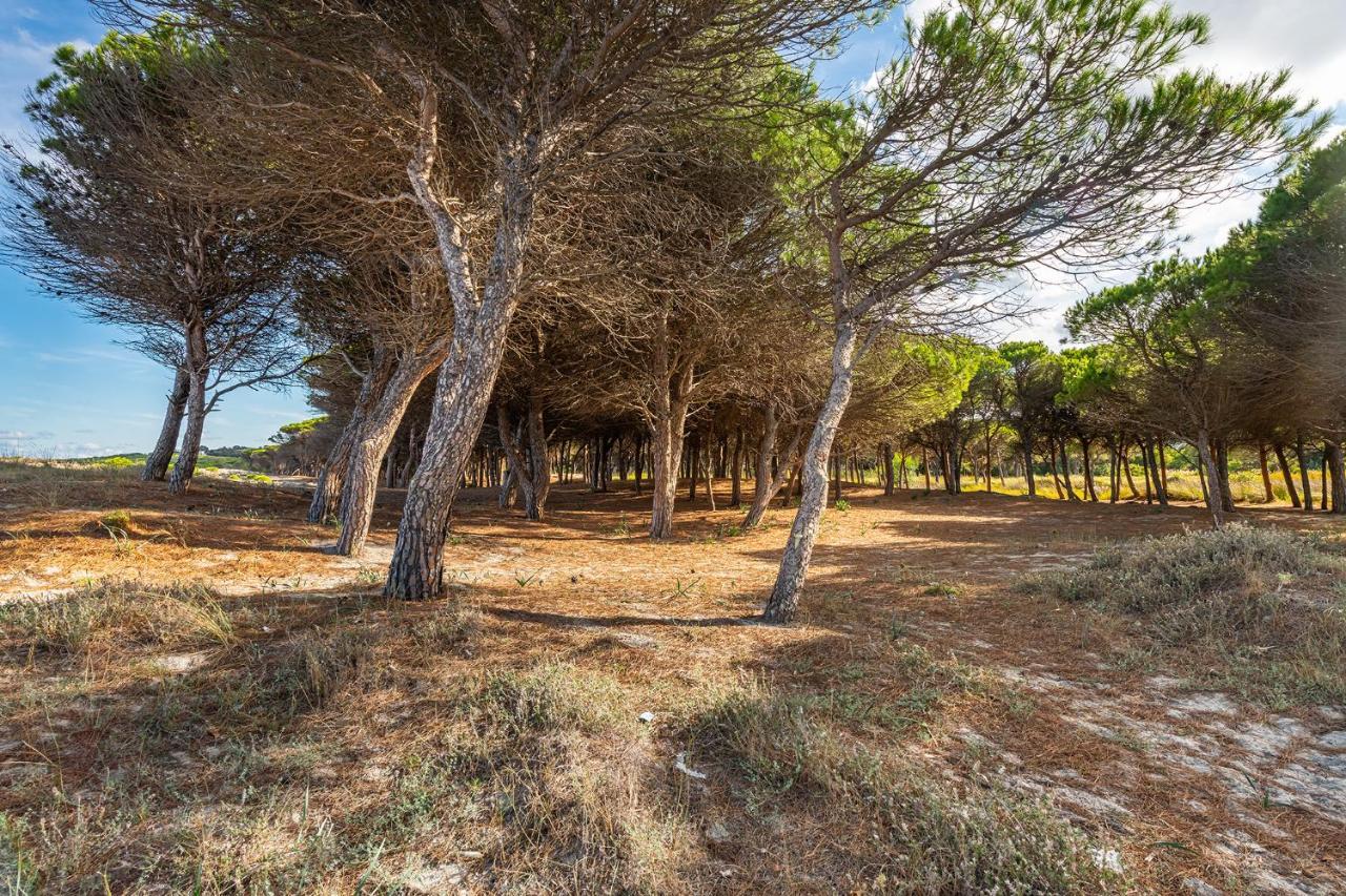 Affittasardegna-Case Pompia Siniscola Bagian luar foto